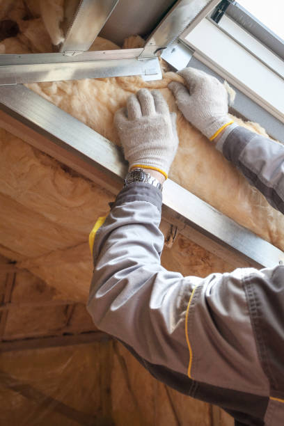 Types of Insulation We Offer in HI