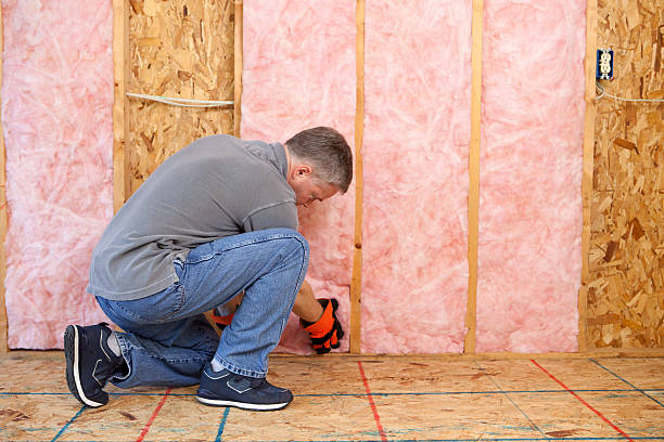 Best Commercial Insulation in Honokaa, HI