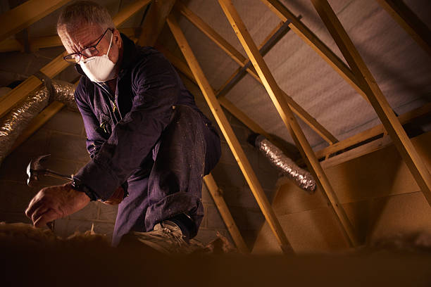 Best Commercial Insulation in Honokaa, HI